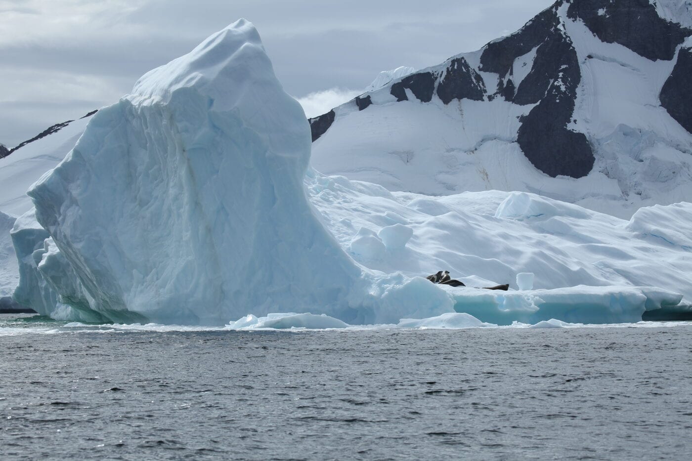 Travel to Antarctica