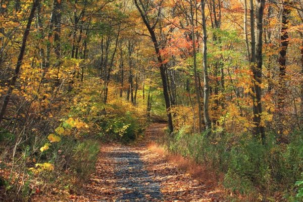 Hike the Appalachian Trail