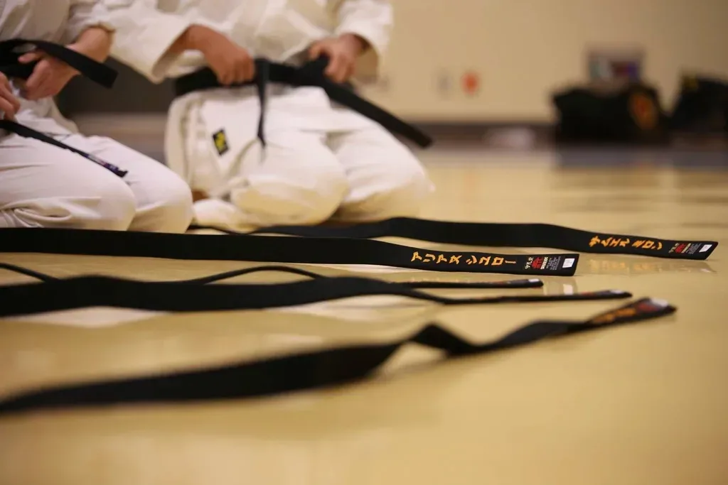 Earn a black belt