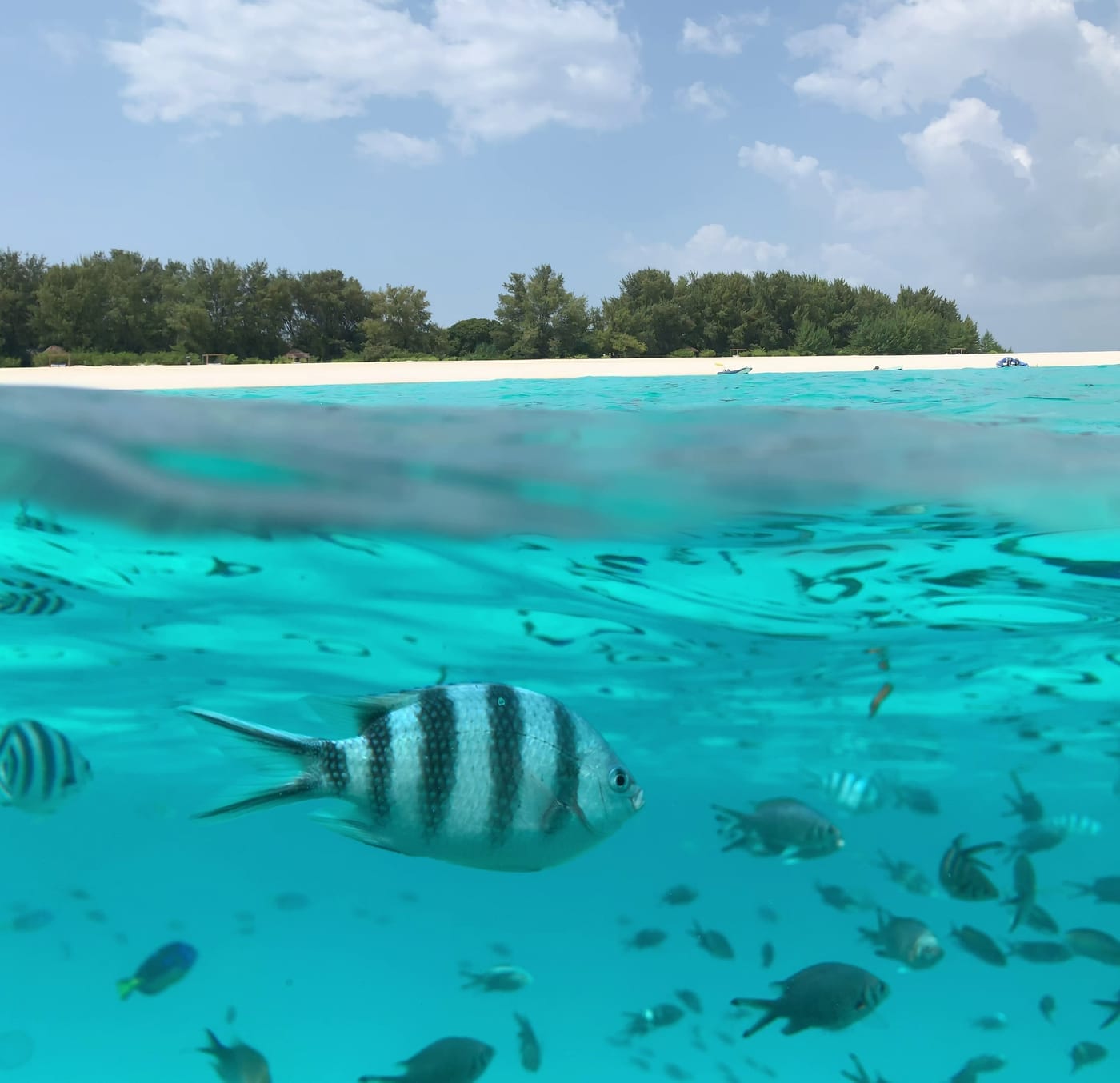 Get scuba certified