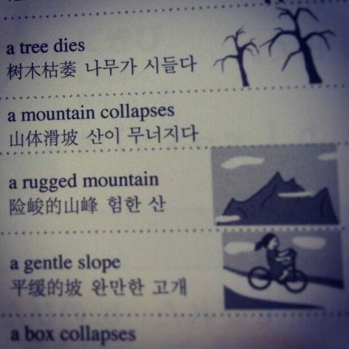 Become fluent in a language