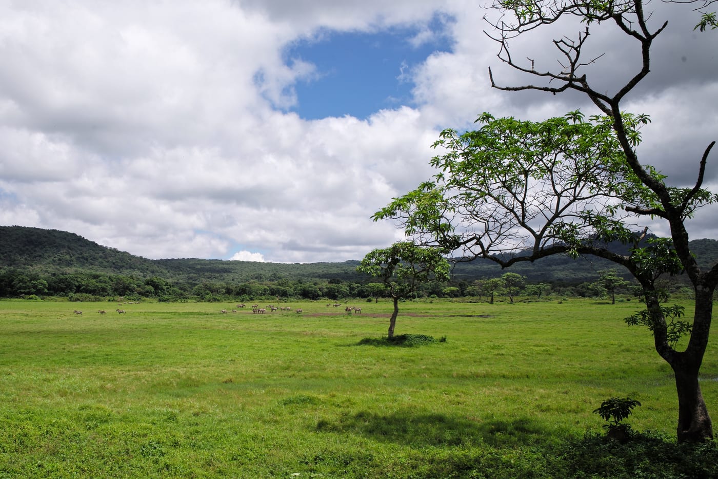 Tour the national parks