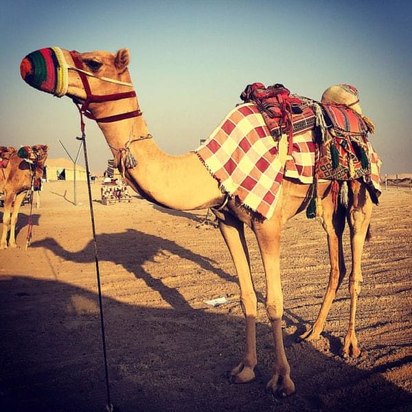 Spend a night in the Sahara