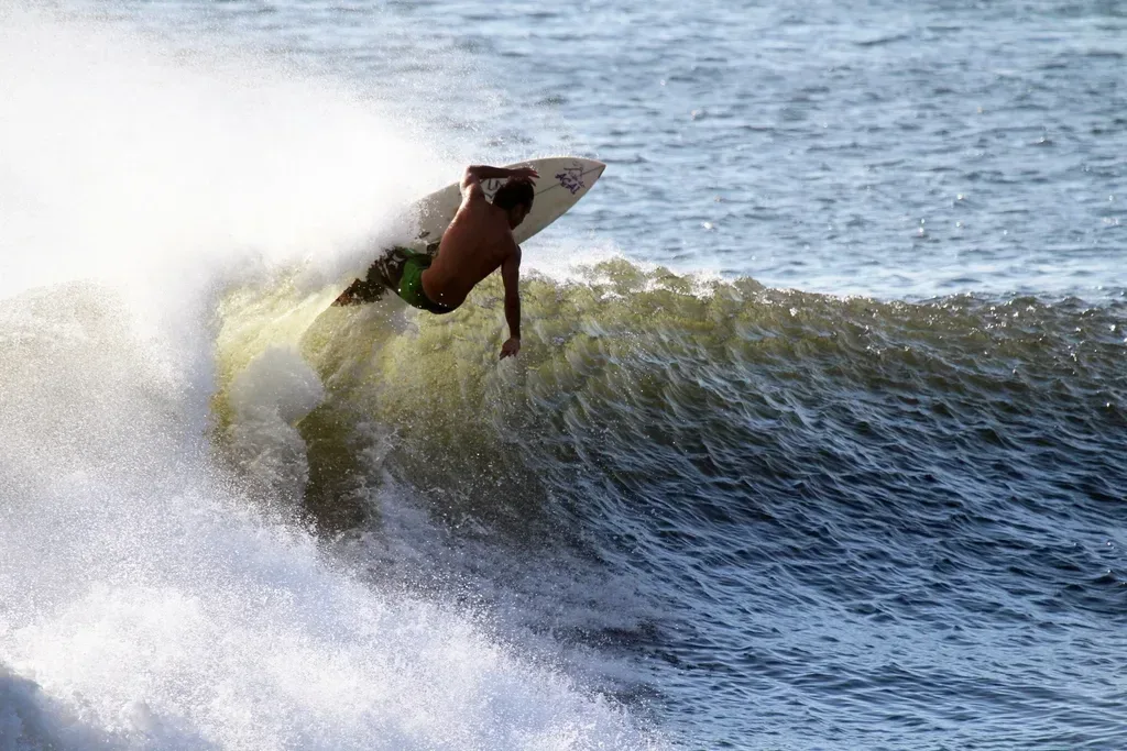 Learn to surf