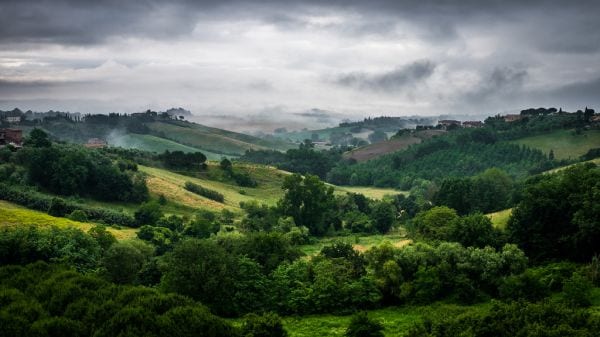 Under the Tuscan sun